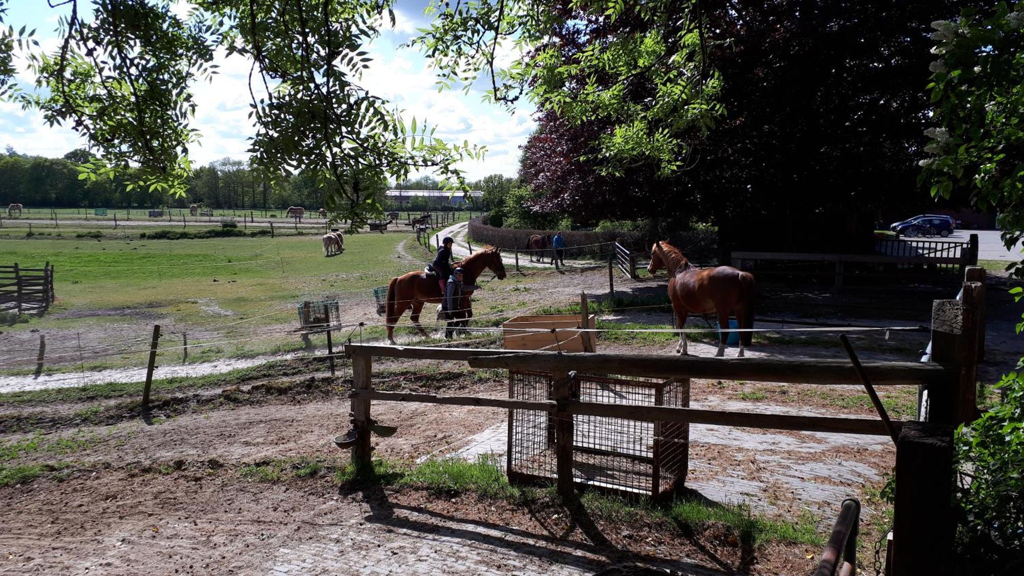 Reiterhof Jaegersburg Ferienwohnung Varel Exteriör bild